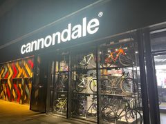 -上海魅力单车cannondale