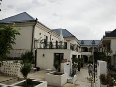 -特克斯八卦城
