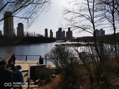 -前关湿地公园