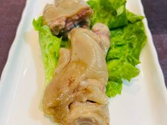 -丁老爷子苏香圆