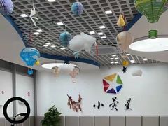 -小荧星艺校(浦东中环分校)