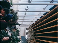 -Seesaw Coffee(朝阳大悦城店)