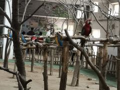 -哈尔滨北方森林动物园