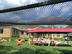 -哈尔滨北方森林动物园