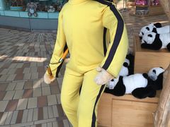 -济州岛泰迪熊博物馆