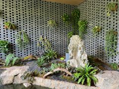 -云溪植物园