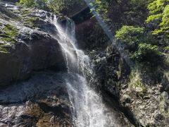 -东天目山风景区