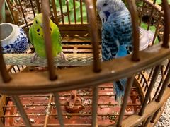 -老湘亲·品鉴湘菜(蔡塘爱琴海店)