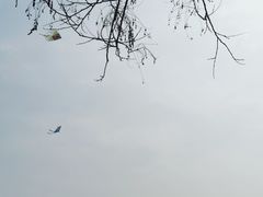 -蠡湖大桥公园