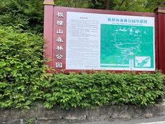 -板樟山森林公园