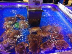 -盒马鲜生(莱蒙都会店)