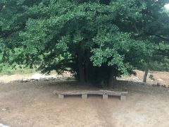 -洛阳白云山景区