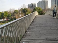 -南翔镇银翔湖公园