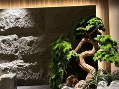 -阿露佳·舌尖上的安吉菜