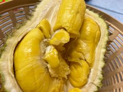 -都念榴莲·城市榴莲