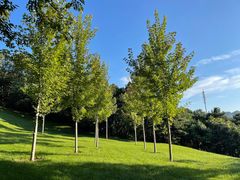 -北京宽沟会议中心