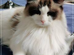 -零纪元VR体验馆·桌游(黄浦店)