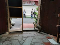 -老宅原住民沙茶面精品小吃(龙头路店)