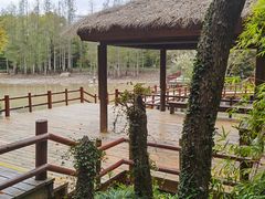 -上海滨江森林公园