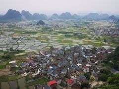-会仙湿地