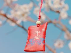 -香雪海