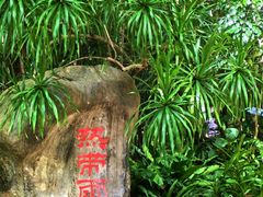 -中国科学院西双版纳热带植物园