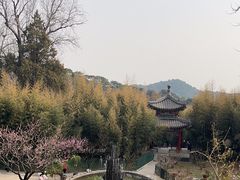 -红螺寺