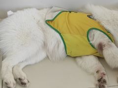 -怪兽屋·羊驼·猫咖·狗咖(俊华广场店)