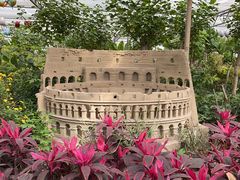 -南宫五洲植物乐园