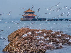 景点-栈桥景区