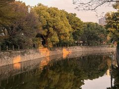 -晓港公园