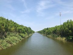 -黄海国家森林公园