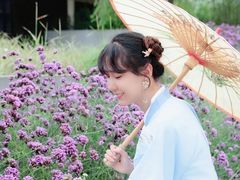 -桤木河湿地公园