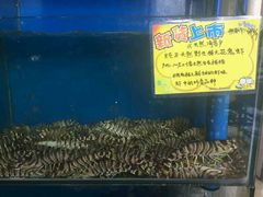 -蚝专家(北滘店)
