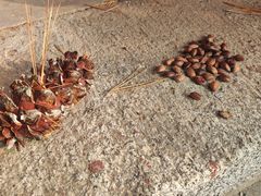 -盛世南宫影视城(北普陀影视城)