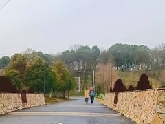 -佛手湖郊野公园