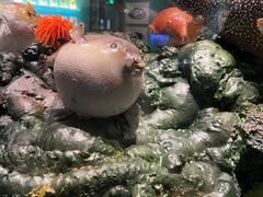 -天津自然博物馆