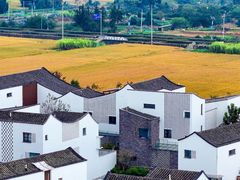 -东梓关景区村庄