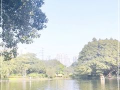 -晓港公园