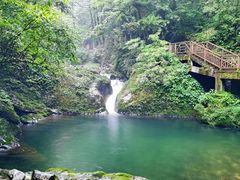 -瓦屋山景区