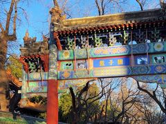 -北京国子监胡同