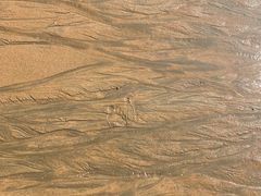 -青岛第一海水浴场