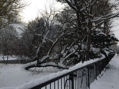 -北海道厅旧本厅舍(旧本庁舎)