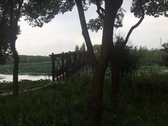 -同里国家湿地公园