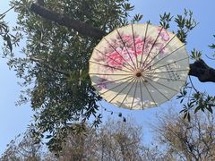 -人民公园(罗湖区)