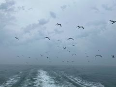 -海驴岛(荣成市)