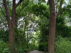 -苏州上方山国家森林公园