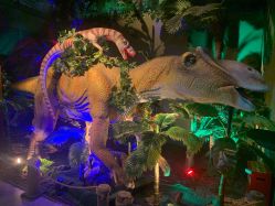 -恐龙探索乐园(磁器口店)