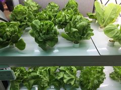 -盒马鲜生(大成店)