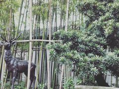 -龙潭水乡
